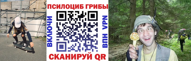 купить   Вязники  Псилоцибиновые грибы MAGIC MUSHROOMS 